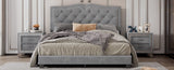 Queen Size Upholstered Bed Frame with Rivet Design, Modern Velvet Platform Bed with Tufted WF316750AAE