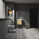 ZUN 20" Wall-Mounted Bathroom Vanity with Ceramic Sink, Storage Cabinet with Doors,Bathroom Cabinet Set W1972P196394