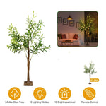 ZUN 4FT 180Pcs LED Beads Lighted Olive Tree Artificial Greenery Tree with Warm White Light Lifelike 79063101