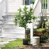 Artificial Plant/Green plants 13793851