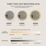 27-inch H LED Single Bathroom Vanity Mirror Polished Crystal Bathroom Round Vanity mirror for smart W2026P203675