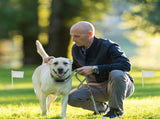 Electric Dog Fence System Pet Tone Shock Boundary Containment Water Resistant Collar Receiver For 81884925