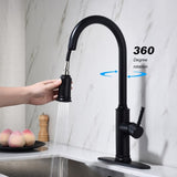 Kitchen Faucet with Pull Out Spraye W2287P319014