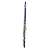 Cupronickel C 16 Closed Holes Concert Band Flute Purple 93412318