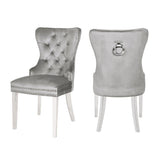 Erica 2 Piece Stainless Steel Legs Chair Finish with Velvet Fabric in Light Gray 808857825940