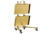 Gold 2 Tier Beauty Salon SPA Rolling Cart w/Double Storage Tray Stainless Steel 65665633