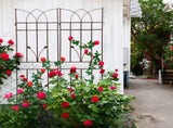 4 Pack Metal Garden Trellis 71" x 17.7" Rustproof Trellis for Climbing Plants Outdoor Flower Support 88492620