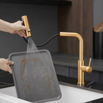 ZUN Kitchen Sink, Nickel Gold Kitchens with Pull out Sprayer, Bar Single Hole W1932P218070