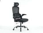 ZUN Ergonomic Mesh Office Chair, High Back Desk Chair with 3D Armrests, Up&Down Lumbar Support, Swivel W1622P196280