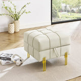 22 inches Anti-scratch Leather Storage Ottoman, Pet Friendly Entryway Bench with Golden Stainless W1191P196357