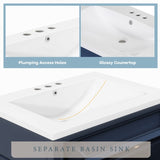 30'' Bathroom Vanity with Top Sink, Modern Bathroom Storage Cabinet with 2 Drawers and a Tip-out N710P206904C