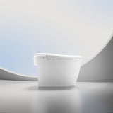 Smart Toilets with Heated Bidet Seat.Portable toilet with bidet built.Intelligent Toilet Auto W3133P280850
