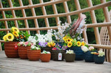 Handmade Solid Glaze Ceramic Planter Set of 4, 7/9/12/14 Inch Diameter, Terra Cotta with Horizontal W3273P321567