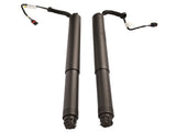 2Pcs Rear Left Right Power Lift Gate Cylinder Struts Fit for 2015-2019 Nissan Murano 3.5L 73029411
