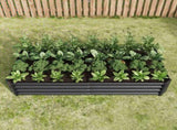 Raised Garden Bed Outdoor, 631ft , Metal Raised Rectangle Planter Beds for Plants, Vegetables, and 48218815