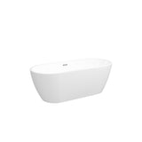 ZUN 67'' Glossy Acrylic Freestanding Soaking Bathtub with Classic Slotted Overflow and Toe-tap Drain in W2568P166094