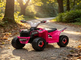 Pink 6V Kids Electric Toy Car Forward & Reverse Function, Wear-Resistant Wheels Ride-On for 18-36 15239589
