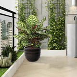 Set of 4 Fluted Ceramic Flowerpot, Modern Planter for Patio, Garden, Windowsill - Dark Coffee W3273P321575