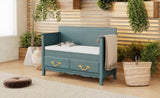 TREXM Shoe Bench with Removable Cushion, Entryway Bench with Hidden Storage for Entrance and Living N715P198567C
