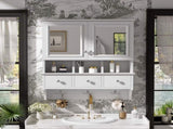 4-in-1 Bathroom Mirror Cabinet, 24-inch Wall Mounted Medicine Cabinet with Drawers & Organizer N710P405416K