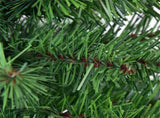 3 Feet Tabletop Unlit Christmas Tree 93061440