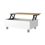 ZUN Boston Lift Top Coffee Table B128P148668