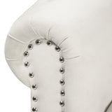 Beige Chaise Lounge Indoor,Velvet Lounge Chair for Bedroom with Storage & Pillow,Modern Upholstered W1170100896