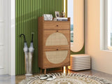 ZUN Rattan, Allen 2 door 1 drawer cabinet, shoe rack, double layer, suitable for entrance W688141533