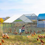 ZUN 10 x 10 ft Large Metal Chicken Coop, Walk-in Poultry Cage Chicken Hen Run House with Waterproof 15937218