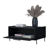 ZUN Black Coffee Table with Flip-Down Door B062P252207