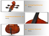 Full Side 4/4 Natural Color Spruce Panel Cello Tiger pattern process with Bag Bow Rosin Bridge 36858595