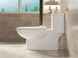 One Piece Toilet with Comfort Chair Seat ADA Height 17", Powerful Dual Flush Modern Toilet, 1.1/1.6 W3192P279683