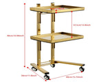 Gold 2 Tier Beauty Salon SPA Rolling Cart w/Double Storage Tray Stainless Steel 65665633