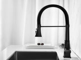 Kitchen Faucet with Pull Down Sprayer 02077531