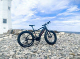 Rogue wave -- mountain ebike T5986P499997