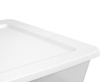 (2 pack) 41 Quart Medium Storage Bin, Clear Plastic Underbed Storage Container with Snap-On Lid, 98783033