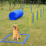 Dog agility training equipment 49063692