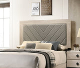 Contemporary 1pc Cream Finish Eastern King Size Bed Bedroom Furniture Gray V-Design Headboard B011P236819