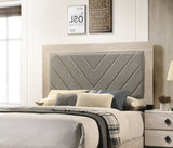 Contemporary 1pc Cream Finish California King Size Bed Bedroom Furniture Gray V-Design Headboard B011P236816