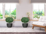 Artificial Plant/Green plants 34919833