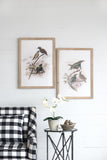 S/2 Bird Framed Print, 19.5x27.5" W2078P205301
