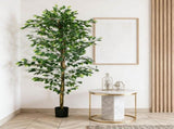 Artificial Plant/Green plants 18700852