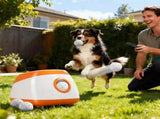 Automatic Dog Ball Launcher 27739063