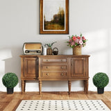 Artificial Plant/Green plants 81194799