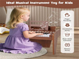 25 Keys Mini Digital Piano for Kids Age 3, Lighted Teaching Mode with 6 Tones & 15 Demo Songs-Brown 73025017
