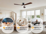 52 Inch Ceiling Fan with LED Light, 3 Solid Wood Blades, Reversible DC Motor, Remote Control, Modern W3816P585792