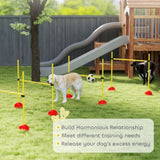 Dog agility training equipment 43910140