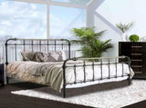 Transitional Style Antique Black Queen Size Bed Hand-brushed Antique Gold Accents 1pc Bedroom B2741P476062