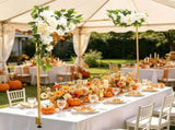 Gold Balloon Frame Over the Table Rod Stand, Adjustable 28 to 98 Inch Length and 13 to 42 Inch 53174474