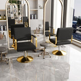 Hydraulic Salon Chair - 360&deg Swivel Barber Stylist Chair with Pump, Non-Tilting Hairdressing Chair W2700P318173